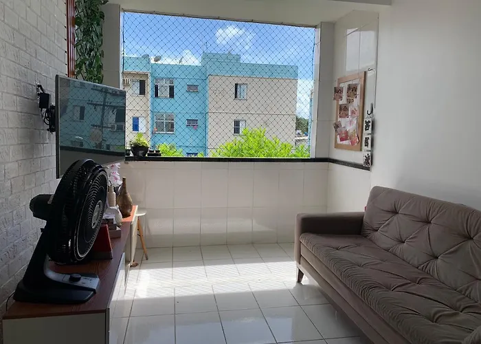 Ape Em Maceio
